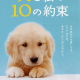 Movie Review: 10 Promises To My Dog